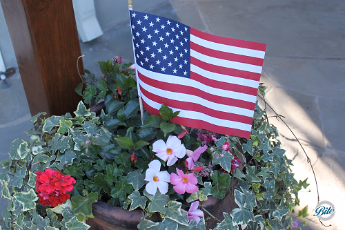 Backyard BBQ Party American Flag