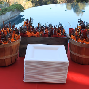 Backyard BBQ Party Disposables