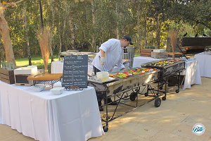 Chef Grilling for BBQ