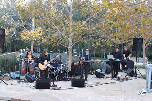 Company BBQ Live Music