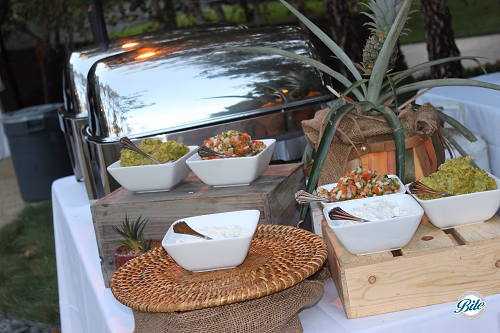 Salsa Toppings