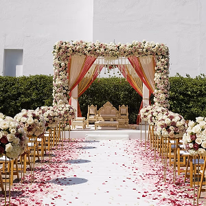 Mandap in the Plaza