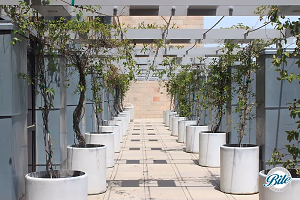 Thousand Oaks Civic Arts Plaza Licata Lounge Patio