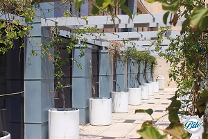 Thousand Oaks Civic Arts Plaza Licata Lounge Pergola