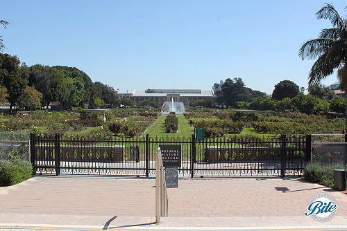 Natural History Museum Exposition Garden