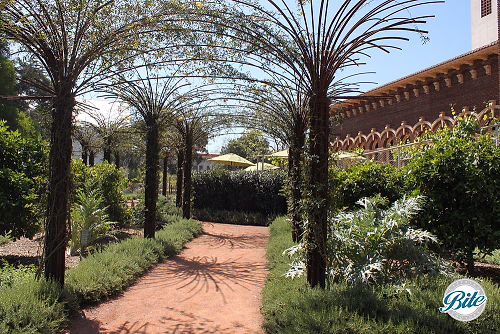 Natural History Museum Pergola