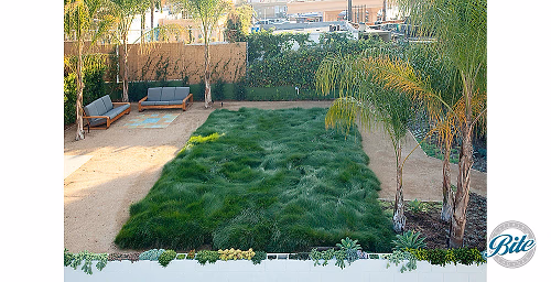 Studio 1342 Grass Lawn