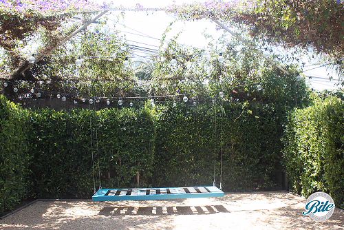 Studio 1342 Garden