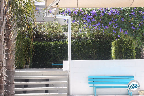 Studio 1342 Blue Bench