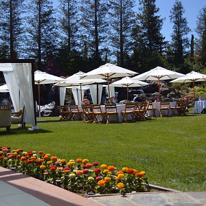 Guest Tables Laid Out Under Tents and Umbrellas