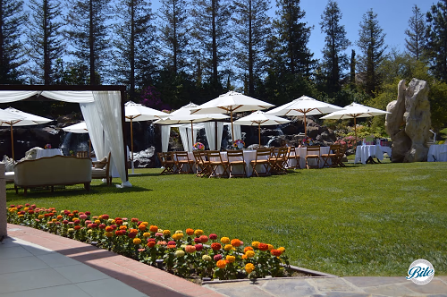 Guest Tables Laid Out Under Tents and Umbrellas