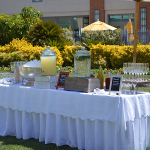 Beverage Display Outdoors on the Lawn