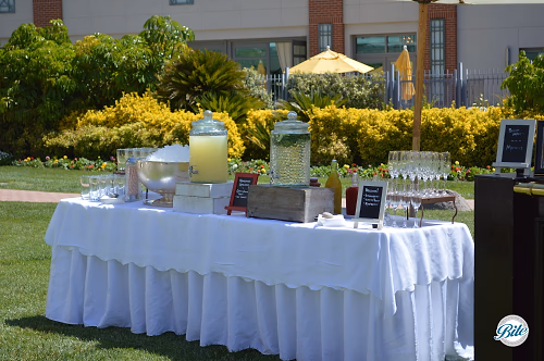 Beverage Display Outdoors on the Lawn