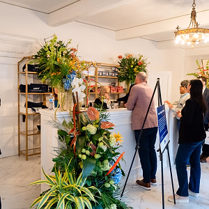 Gallery photo