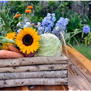 Green Wedding in Bel Air Country Basket